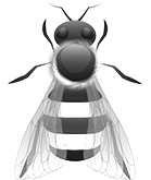 Why Choose Us? Why Choose Us?