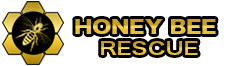 Honey Bee Rescue